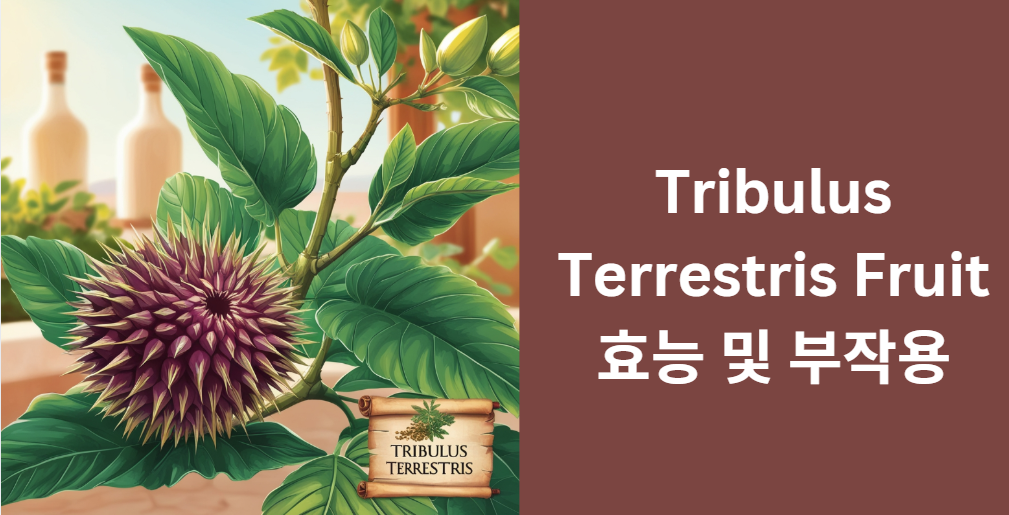 Tribulus Terrestris Fruit 효능 및 부작용