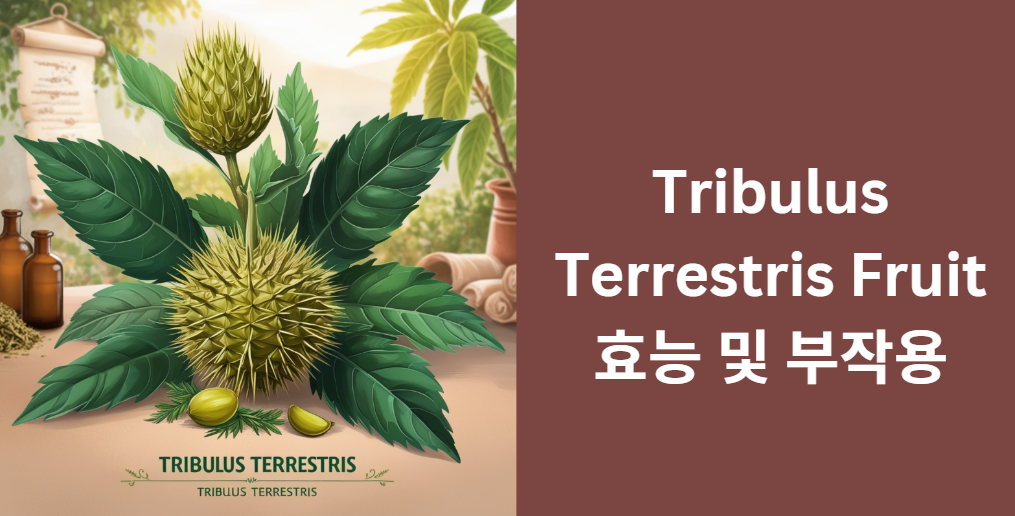 Tribulus Terrestris Fruit 효능 및 부작용