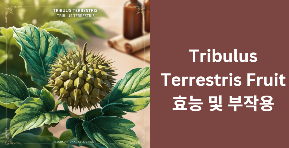 Tribulus Terrestris Fruit 효능 및 부작용